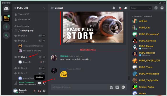 how to view screen sharing discord server