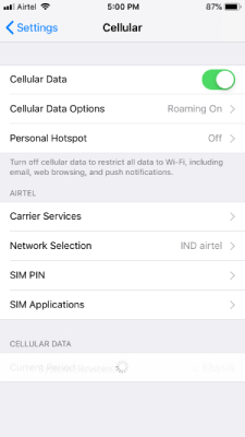 Cellular Setting iPhone