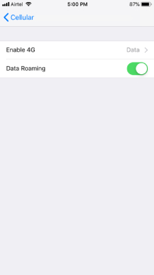 Enable 4G in iPhone