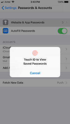 Touch ID to view Saved Passwords on iOS