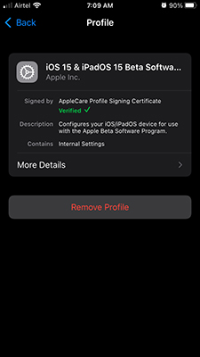 Remove iOS 15 public beta Profile